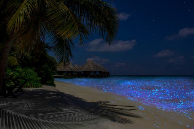 Wyspa Malediwy Vaadhoo