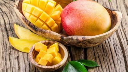 Jakie są zalety Mango? Jakie choroby są dobre dla mango? Co się stanie, jeśli spożyjesz regularne mango?