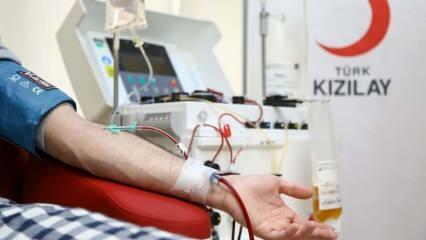 Gdzie i jak oddać krew? Jakie są warunki oddania krwi