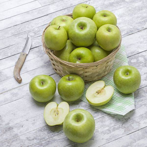 dieta jabłkowa