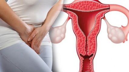 Co to jest pogrubienie ściany macicy? Jaka powinna być grubość ścianki macicy podczas ciąży?