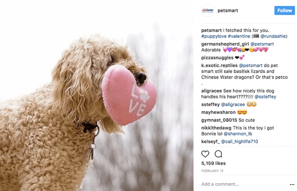 Kiedy PetSmart udostępnia zdjęcia użytkowników na Instagramie, podaje autorstwo zdjęcia do oryginalnego plakatu w podpisie.