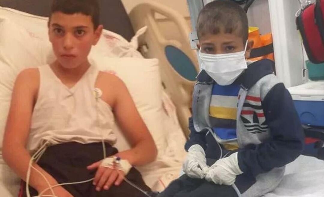 Dziecko chore na wściekliznę jest na intensywnej terapii! Bahadır Yenişehirlioğlu zaatakował