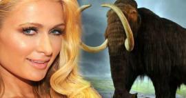 Paris Hilton zainwestowała swoje pieniądze w mamuty! 