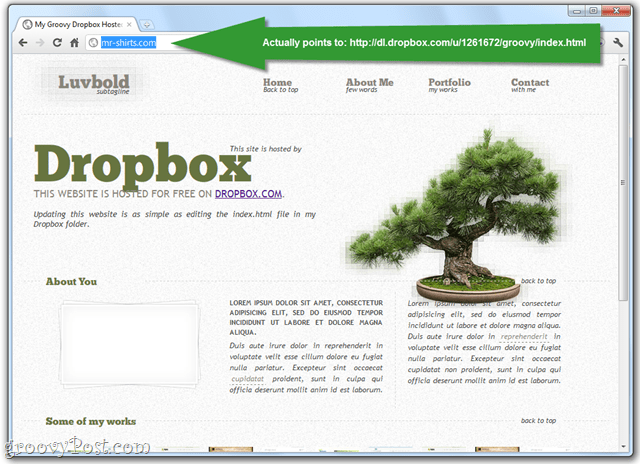 publikować strony internetowe za pośrednictwem folderu publicznego Dropbox
