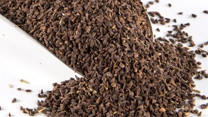 Jakie są zalety nasion Uzerlik? Jak przerobić nasiona herbaty Üzerlik?
