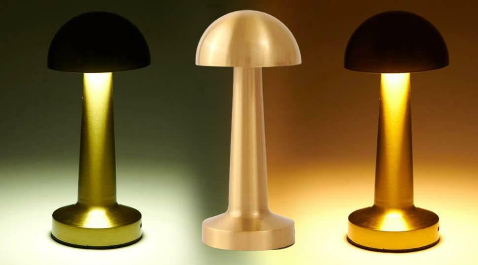 Lampa stołowa LED z możliwością ładowania Forlife FL-8055