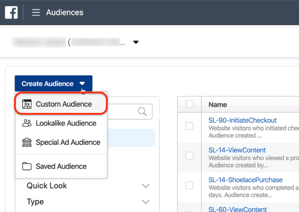 Opcja Custom Audience w Audiences