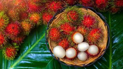 Co to jest Rambutan? Jakie są zalety owoców Rambutan? Jak jeść rambutan?
