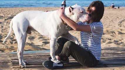 Młoda aktorka Alina Boz żegna się ze swoim martwym psem! Kim jest Alina Boz?