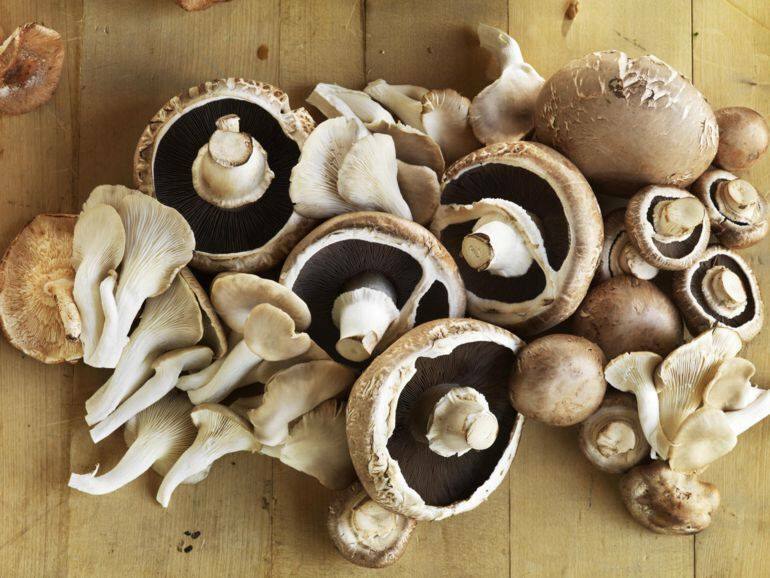 Sztuczki, które warto wiedzieć podczas gotowania grzybów