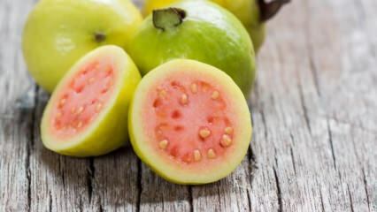 Co to jest owoc guawy? Jakie są korzyści?