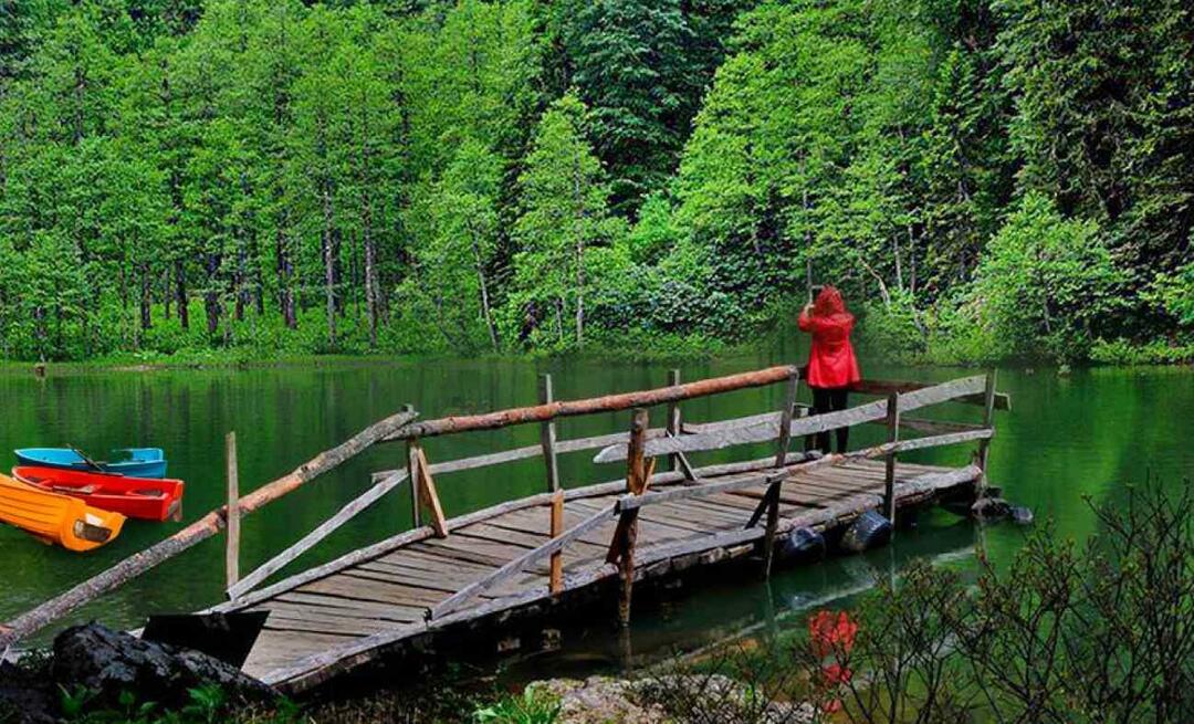 Gdzie jest Artvin? Gdzie jechać w Artvinie? Jakie miejsca warto odwiedzić w Artwinie?