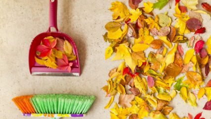 Praktyczne metody czyszczenia na jesień