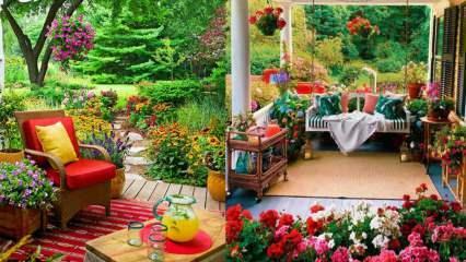 Kwiaty, które jesienią wykorzystasz w swoim ogrodzie i na balkonie!