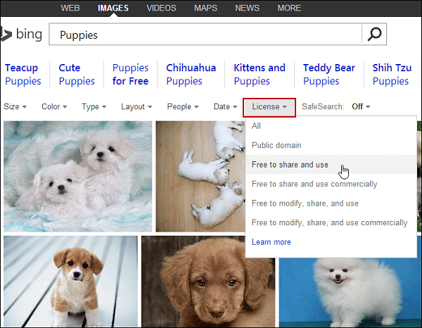 Znajdź obrazy w Bing