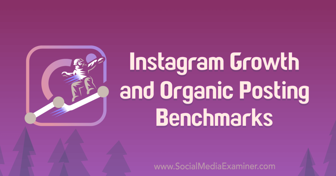 Wskaźniki wzrostu na Instagramie i publikowania organicznego autorstwa Michaela Stelznera. 