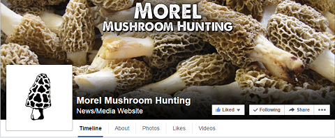 Morel Mushroom Hunting