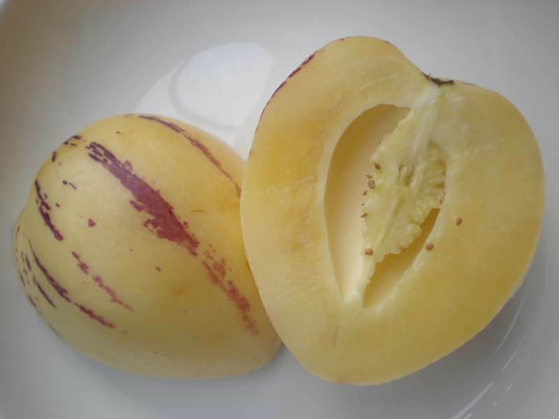 owoce pepino są krojone jak melon jako obraz