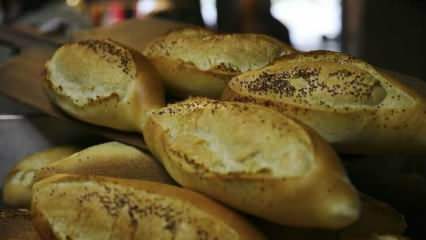 Jak ocenia się czerstwy chleb? Przepisy wykonane z czerstwego chleba