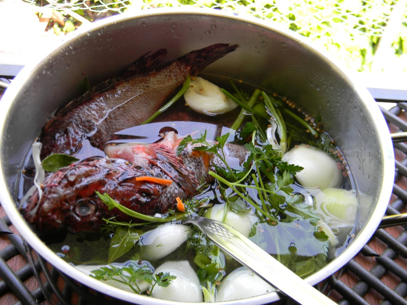 Jak zrobić najłatwiejszą zupę rybną ze skorpiona? Wskazówki dotyczące zupy ze skorpiona