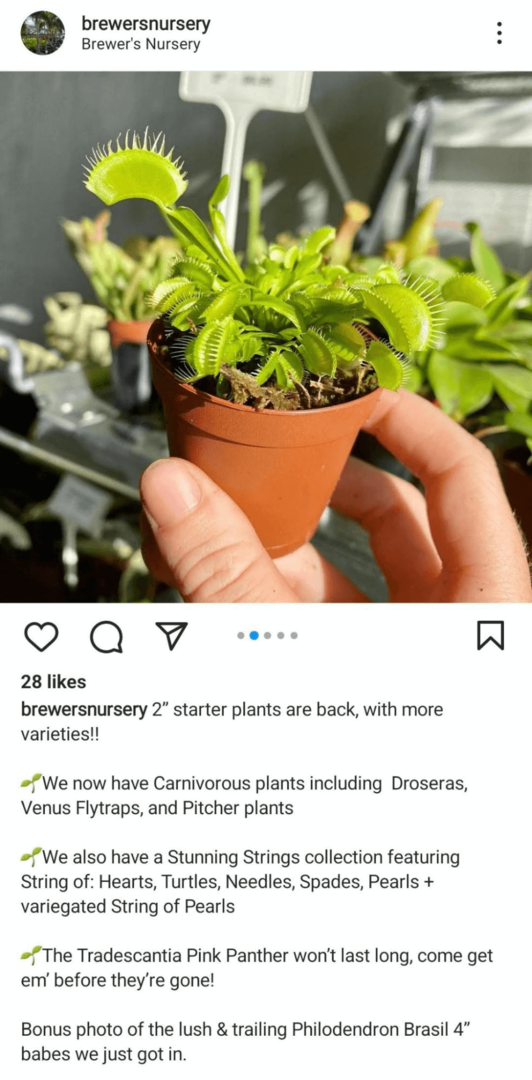 obraz posta na Instagramie przedstawiający produkt