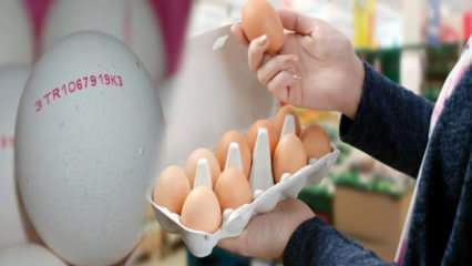 Jak rozumie się ekologiczne jajo? Co oznaczają kody jajka?