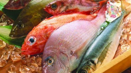 Wpływ ryb na odporność! Jakie są zalety ryb? Jak spożywać najzdrowsze ryby?