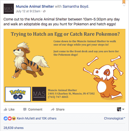 pokemon go muncie schronisko dla zwierząt