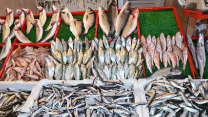 Jak usunąć toryczną rybę? Sztuczki, aby wyciągnąć toryczną rybę