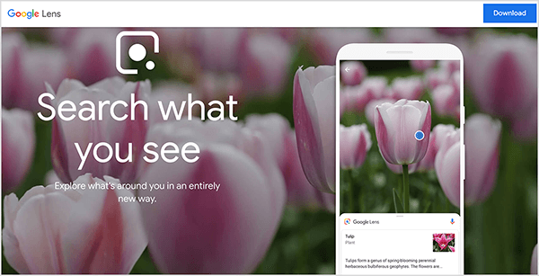 To jest zrzut ekranu witryny Google Lens. U góry strony pojawia się biały pasek. Po lewej stronie jest nazwa Google Lens. Po prawej stronie znajduje się niebieski przycisk Pobierz. W głównej części strony znajduje się zdjęcie w tle, na którym widać kwiaty różowych tulipanów. Po lewej stronie, nad obrazem tła, pojawia się białe logo Obiektywu Google wraz z następującym tekstem: „Szukaj tego, co widzisz” i „Odkrywaj, co Cię otacza w zupełnie nowy sposób”. Po prawej stronie symulacja smartfona pokazuje aplikację Google Lens identyfikującą tulipana. Mike Rhodes mówi, że Google Lens jest przykładem sztucznej inteligencji.