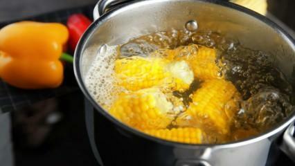 Jak zrobić najprostszą gotowaną kukurydzę? Metody sortowania kukurydzy gotowanej