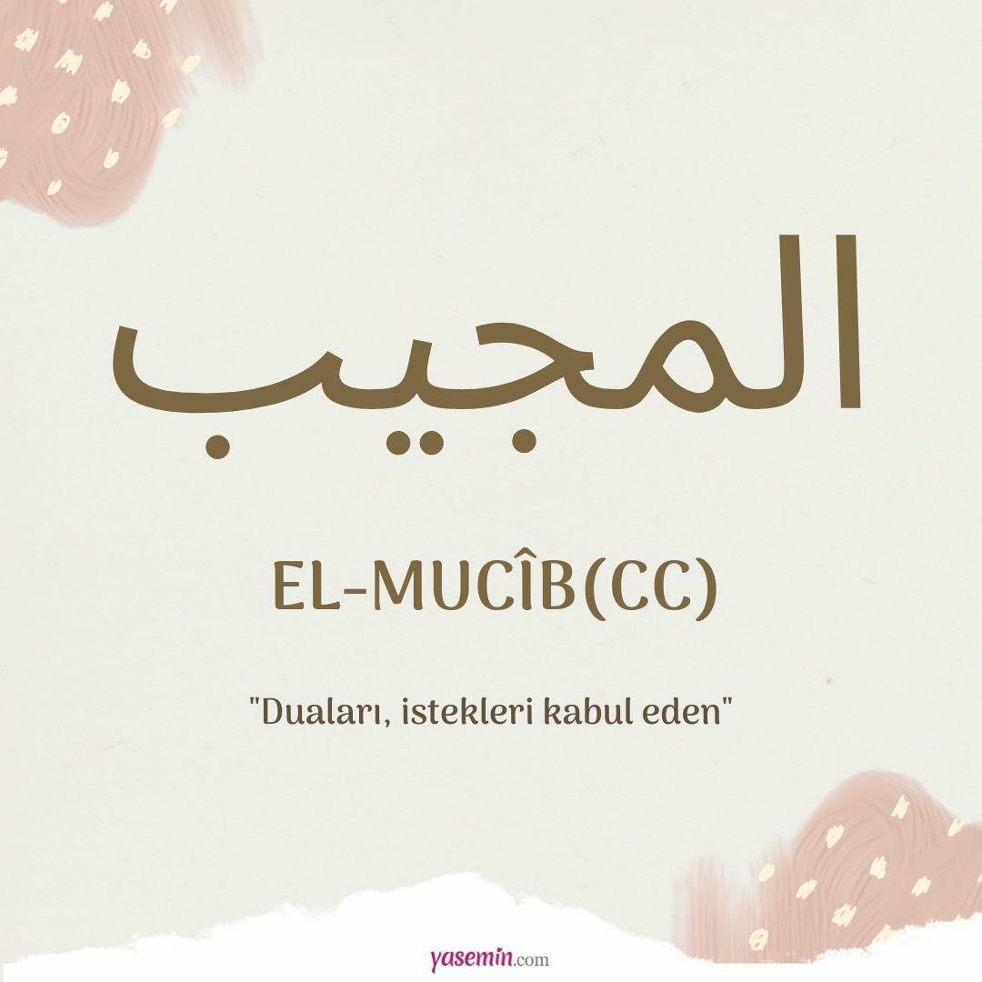 Co oznacza al-Mujib (cc)?