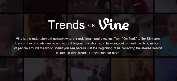 trendy na winorośli