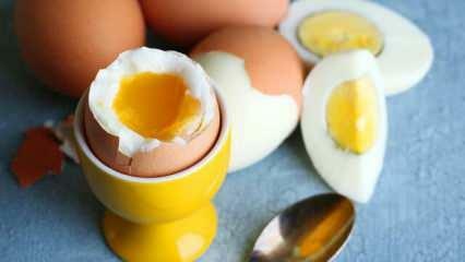 Jakie są skutki jedzenia 2 jajek w sahur dziennie na organizm?