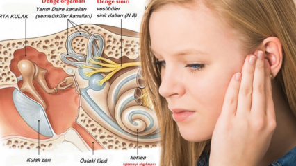 Przyczyny poślizgu kryształów uszu? Objawy gry kryształu ucha