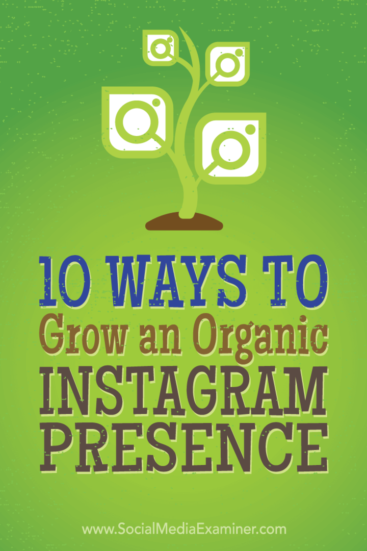 10 sposobów na rozwój organicznej obecności na Instagramie: ekspert ds. Mediów społecznościowych
