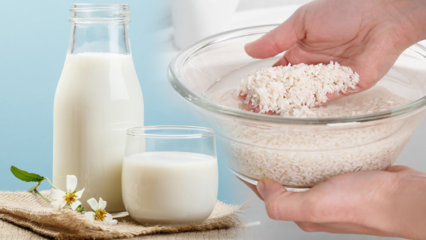 Jak przygotować spalające tłuszcz mleko ryżowe? Metoda odchudzająca z mlekiem ryżowym