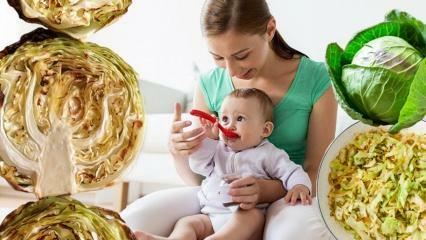 Czy dzieci jedzą kapustę? W jakim miesiącu podawać niemowlętom kapustę? Korzyści z kapusty dla niemowląt