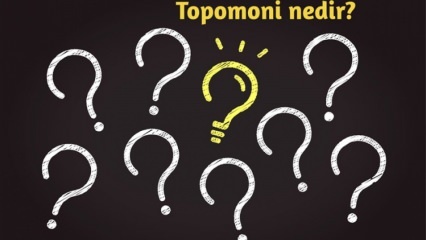 Co to jest topomonia, co ona bada? Jakie są zalety nauki topomonicznej? 