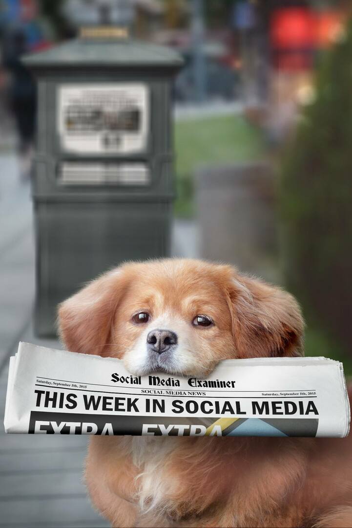 Meerkat przedstawia Hashtagi na żywo: w tym tygodniu w mediach społecznościowych: Social Media Examiner