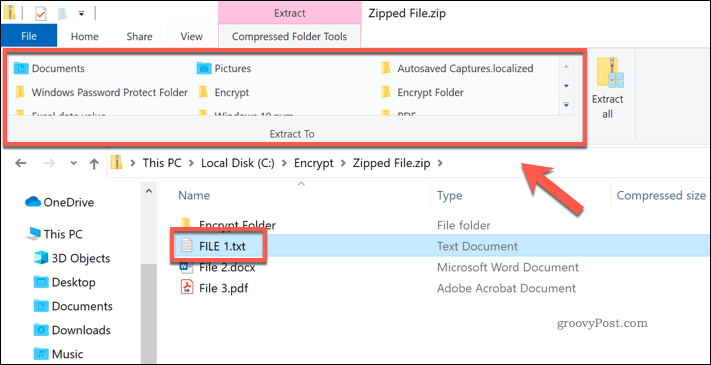 Wyodrębnianie pojedynczego pliku z pliku ZIP w Eksploratorze plików systemu Windows