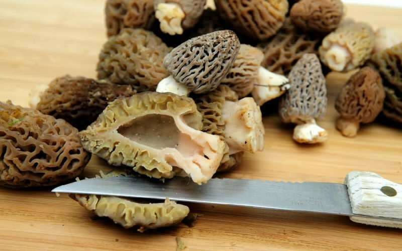Jakie są zalety grzybów jagnięcych Jak spożywać pieczarki jagnięce?