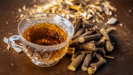 Jakie są zalety lukrecji? Jak zrobić herbatę z korzenia lukrecji? Do czego służy lukrecja?