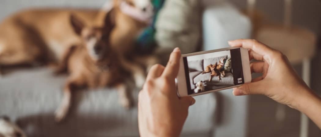 10 prostych wskazówek, jak robić najlepsze zdjęcia na iPhonie