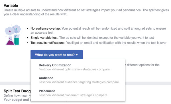 Wybierz zmienną, którą chcesz przetestować z reklamą na Facebooku.