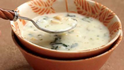 Co to jest zupa dovga i jak zrobić zupę dovga? Przepis na zupę Dovga w domu