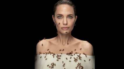 Angelina Jolie w obiektywie z pszczołami dla pszczół!