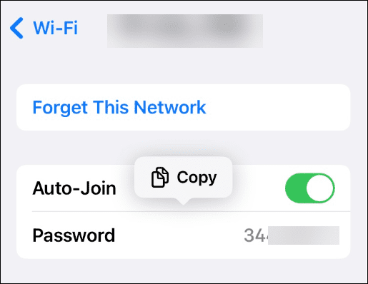 Wyświetl zapisane hasła do sieci Wi-Fi na iPhonie