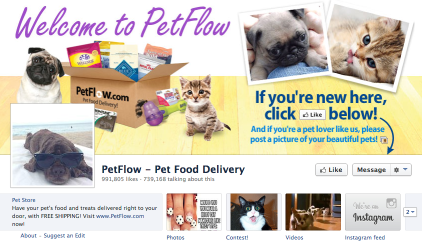 Strona na Facebooku petflow